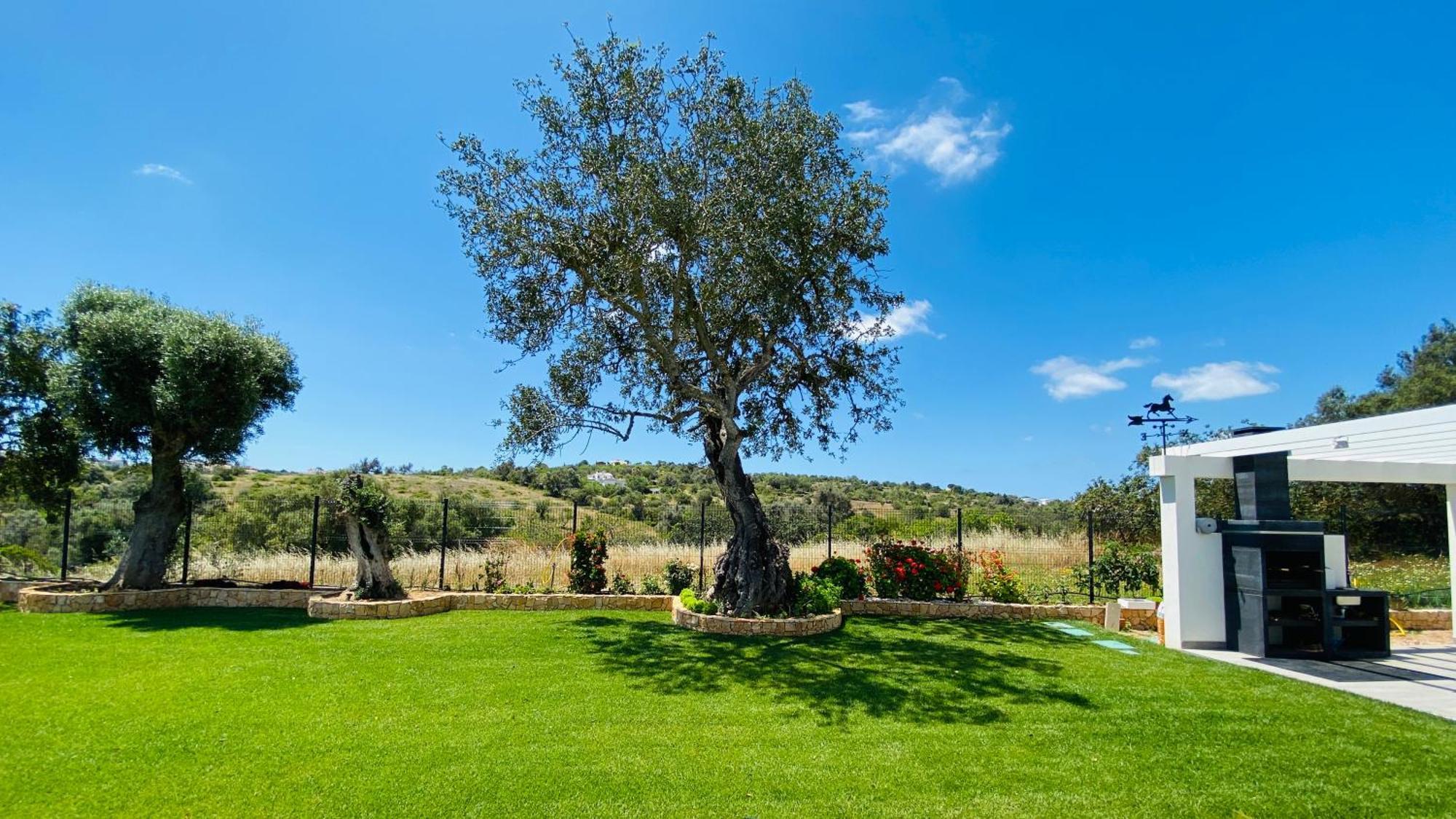 Eden By Check-In Portugal Villa Албуфейра Екстериор снимка